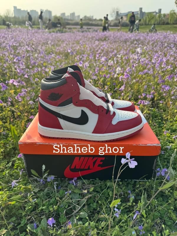 Air Jordan 1 Retro High OG Chicago Reimagined Lost and Found