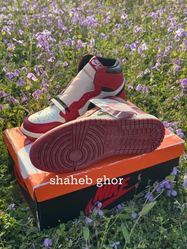 Air Jordan 1 Retro High OG Chicago Reimagined Lost and Found 4