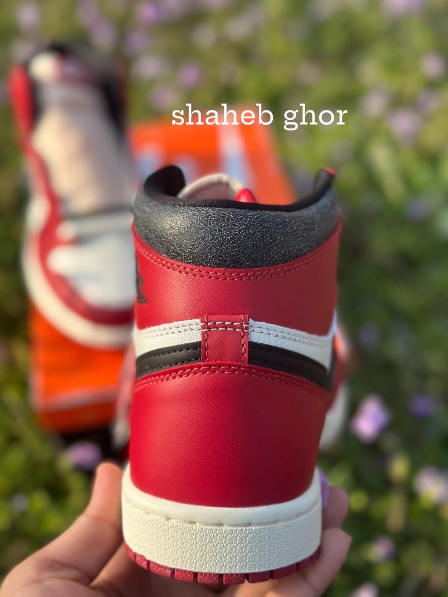 Air Jordan 1 Retro High OG Chicago Reimagined Lost and Found 5