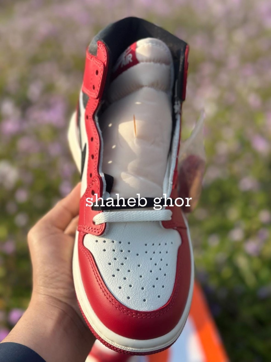 Air Jordan 1 Retro High OG Chicago Reimagined Lost and Found 7