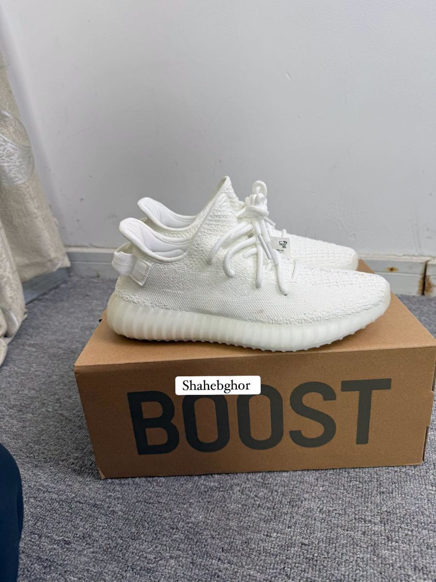 Yeezy Boost 350 6